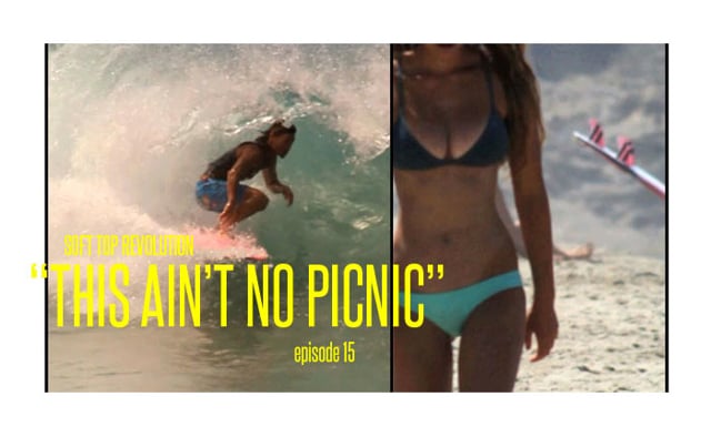 This Ain't No Picnic Bag Policy