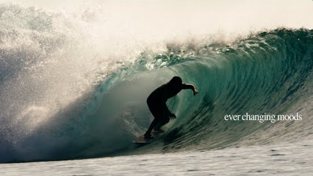 Lazer Zap - 6'0 | NobodySurf