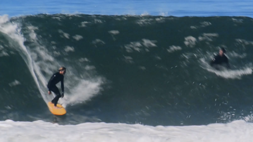 'SUNFLOWER' by Brian Elliott | NobodySurf